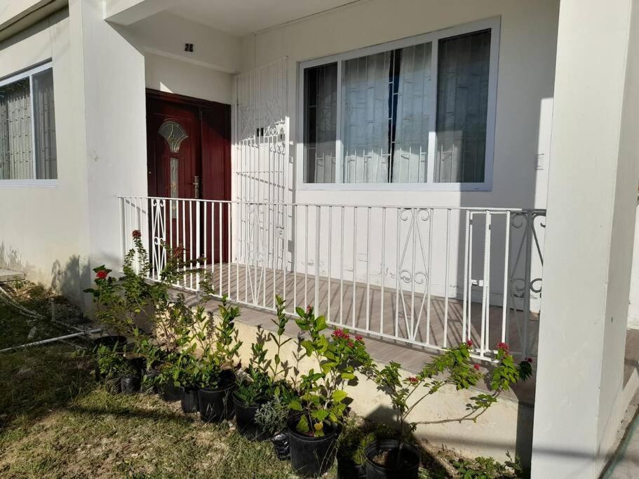Apartment Healing In The Montego Bay
