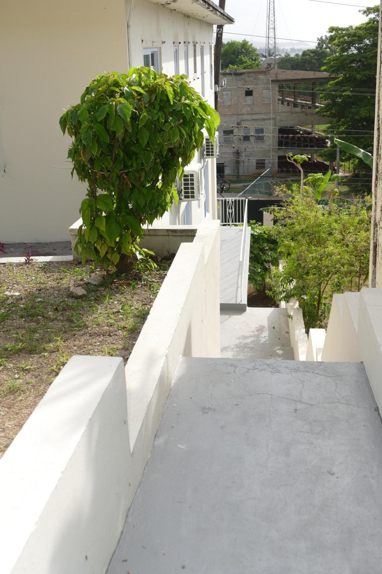 Healing In The Apartamento Montego Bay